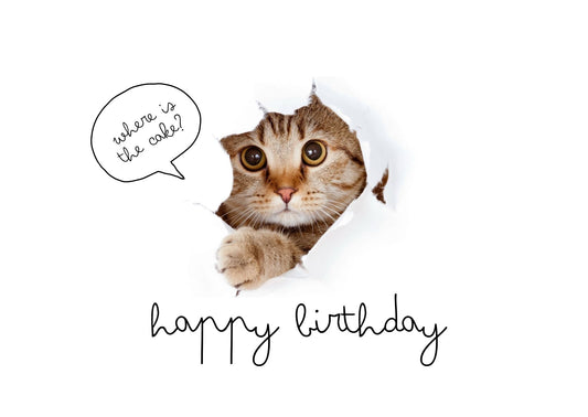 'Where is the cake' Card